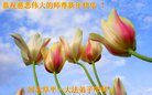 ֹ,ӱ󷨵ӹףʦ(19)