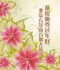 ֹ,󷨵ӹףʦ(21)