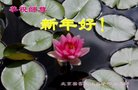 ֹ,󷨵ӹףʦ(21)