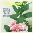 ֹ,ȷ󷨵ӹףʦ(19)