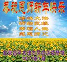 ֹ,󷨵ӹףʦ(21)