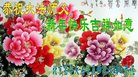ֹ,󷨵ӹףʦ(21)
