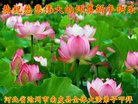 ֹ,ӱ󷨵ӹףʦ(19)