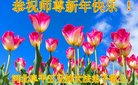 ֹ,ӱ󷨵ӹףʦ(20)