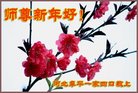 ֹ,ӱ󷨵ӹףʦ(19)