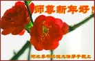 ֹ,ӱ󷨵ӹףʦ(19)