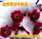 法轮功,保定大法弟子恭祝师尊新年好(22条)