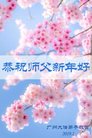 ֹ,ݴ󷨵ӹףʦ(24)