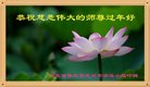 法轮功,保定大法弟子恭祝师尊新年好(22条)
