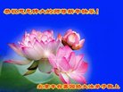 ֹ,󷨵ӹףʦ(19)