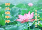 ֹ,ӱ󷨵ӹףʦ(19)