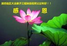 ֹ,Ϋ󷨵ӹףʦ(23)