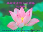ֹ,ӱ󷨵ӹףʦ(19)