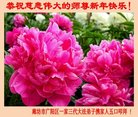 ֹ,ȷ󷨵ӹףʦ(20)