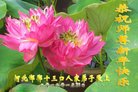 法轮功,河北大法弟子恭祝师尊新年好(20条)