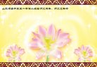 法轮功,山东大法弟子恭祝师尊新年好(23条)