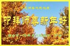 ֹ,ӱ󷨵ӹףʦ(20)