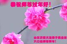 ֹ,ϴ󷨵ӹףʦ(20)