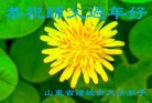 ֹ,Ϋ󷨵ӹףʦ(23)