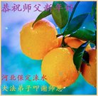 ֹ,󷨵ӹףʦ(22)