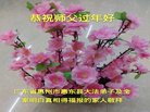 ֹ,㶫󷨵ӹףʦ(30)