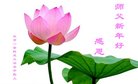 ֹ,󷨵ӹףʦ(19)