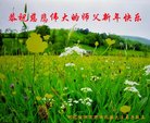 ֹ,󷨵ӹףʦ(24)
