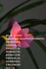ֹ,ʯׯ󷨵ӹףʦ(20)