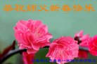 ֹ,󷨵ӹףʦ(24)