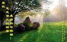 ֹ,󷨵ӹףʦ(19)
