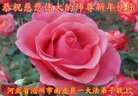 ֹ,ӱ󷨵ӹףʦ(20)