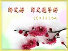 ֹ,ൺ󷨵ӹףʦ(22)