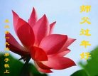 法轮功,山东大法弟子恭祝师尊新年好(19条)