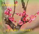 ֹ,󷨵ӹףʦ(22)