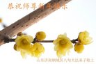 ֹ,ϴ󷨵ӹףʦ(20)