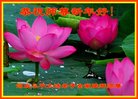 ֹ,ӱ󷨵ӹףʦ(28)