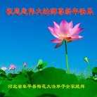 ֹ,󷨵ӹףʦ(22)