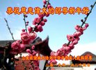 ֹ,Ϋ󷨵ӹףʦ(21)