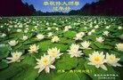 ֹ,ൺ󷨵ӹףʦ(22)