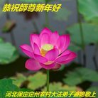 ֹ,󷨵ӹףʦ(22)