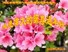 ֹ,ӱ󷨵ӹףʦ(27)