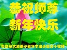 法轮功,青岛大法弟子恭祝师尊新年好(22条)