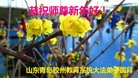 ֹ,ൺ󷨵ӹףʦ(22)