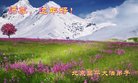 ֹ,󷨵ӹףʦ(24)