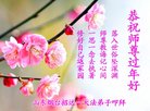 法轮功,山东大法弟子恭祝师尊新年好(19条)