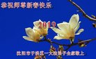���ֹ�,�����󷨵��ӹ�ףʦ�������(20��)