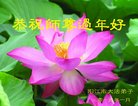 ֹ,㶫󷨵ӹףʦ(27)
