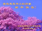 法轮功,北京大法弟子恭祝师尊新年好(24条)