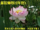 ֹ,󷨵ӹףʦ(22)