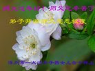 ֹ,󷨵ӹףʦ(22)